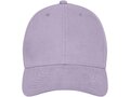 Davis 6 panel cap 11