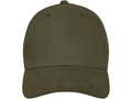Davis 6 panel cap 3