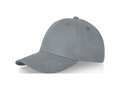Davis 6 panel cap 36