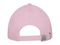 Darton 6 panel sandwich cap 3