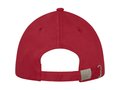 Darton 6 panel sandwich cap 6