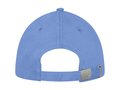 Darton 6 panel sandwich cap 12