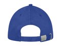 Darton 6 panel sandwich cap 15