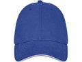 Darton 6 panel sandwich cap 14