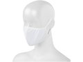 Layton face mask 4