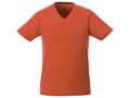 Amery short sleeve men's cool fit v-neck shirt 11