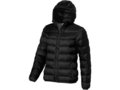 Norquay Hooded jacket