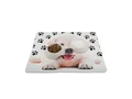 Papillon food bowl placemat small