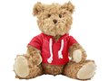 Plush teddy bear with hoodie 4