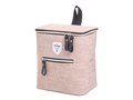 Twin Tone Bicycle Coolerbag 9