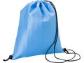Polyester coolerbag 2