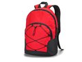 Laptop backpack Chameleon 3