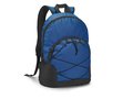 Laptop backpack Chameleon