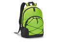 Laptop backpack Chameleon 1