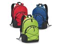 Laptop backpack Chameleon 5