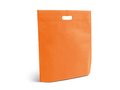 Eco Bag 9