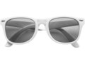 Classic fashion sunglasses