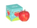 Apple in box