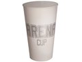 Arena Cup