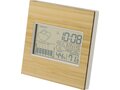 Bamboo weather station