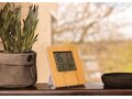 Bamboo weather station 5