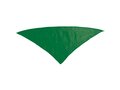 Neckerchief Plus 5