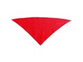 Neckerchief Plus 8