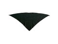 Neckerchief Plus 7