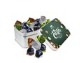 Tin with Praline Chocolates