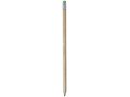 Cay pencil