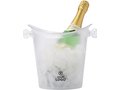 Frosted cooler & ice bucket 2