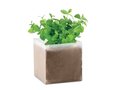 Bag with mint seeds