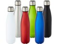 Cove 500 ml vacuum insulated stainless steel bottle