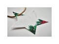 Seed paper Xmas ornament 1
