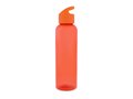 Drinking Bottle Loop 600ml 3