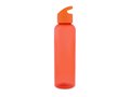 Drinking Bottle Loop 600ml 3