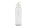 Drinking Bottle Loop 600 ml - transparent