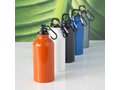 Drinking Bottle With Karabiner 17