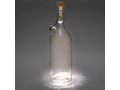 Aurora bottle light