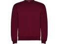 Clasica unisex crewneck sweater 38