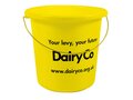 Bucket 4