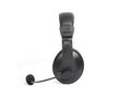 USB stereo headset with microphone