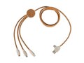 Multi-port charging cable
