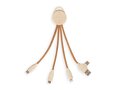 Multi-port charging cable 1