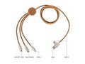Multi-port charging cable 1
