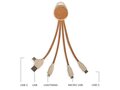 Multi-port charging cable 2