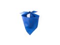 Neckerchief Plus