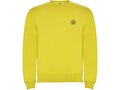 Clasica kids crewneck sweater 1