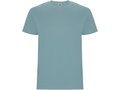 Stafford short sleeve kids t-shirt 3