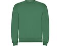 Clasica unisex crewneck sweater 35